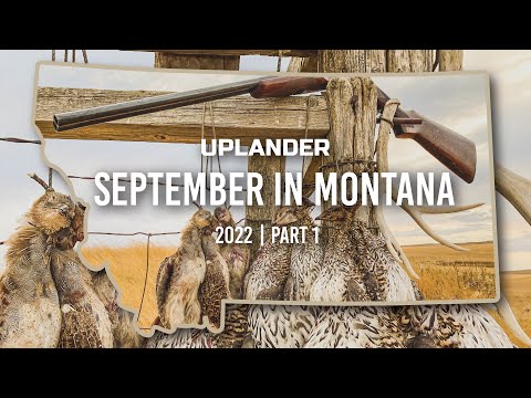 September in MONTANA! 2022 Sharptails & Huns Part 1