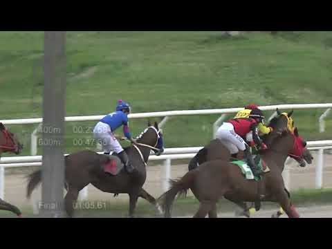 231021 c14 - GREAT VALUE - HIPODROMO LAS PIEDRAS