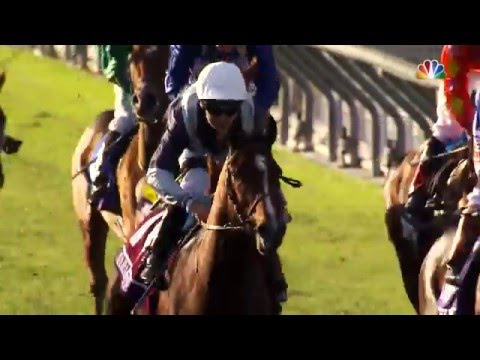 download lagu mp3 mp4 Breeders Cup Baseball Caps, download lagu Breeders Cup Baseball Caps gratis, unduh video klip Breeders Cup Baseball Caps