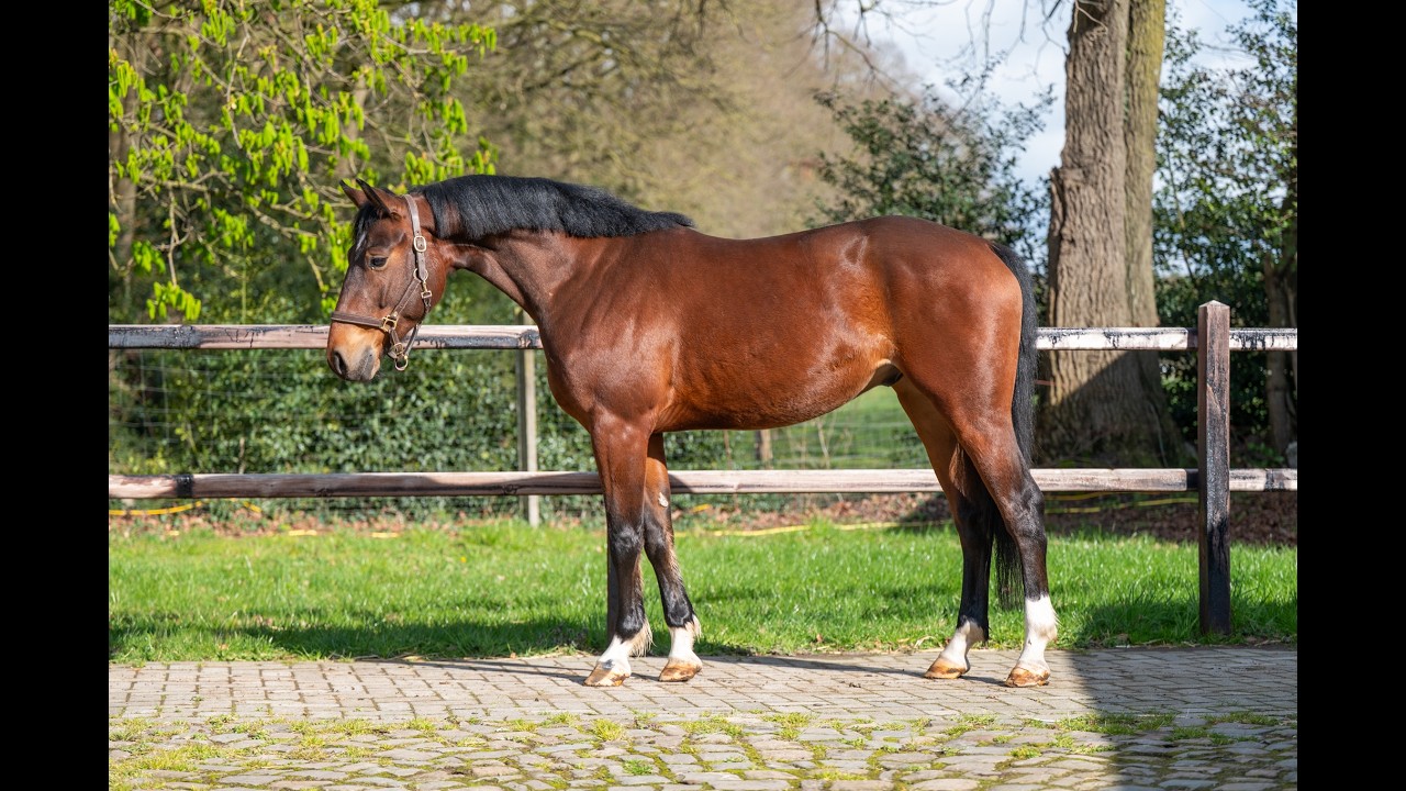 Larnacoeur de Vomorin (GFE CICAVE DU TALUS x LIMBO) video 3