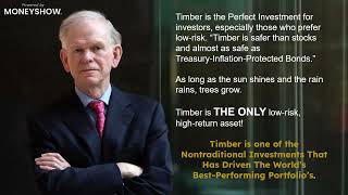 Building Bigger, Better Returns: Why Real Estate Veterans and HNW Investors Are Pivoting to High-Value Tropical Hardwood Investments