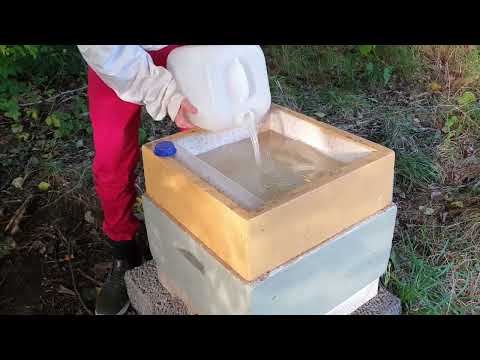 Matning av bisamhälle!