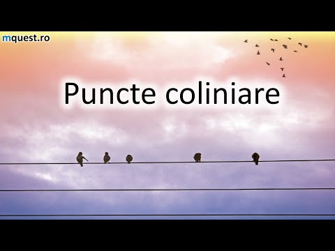 Puncte coliniare, geometrie clasa a V-a