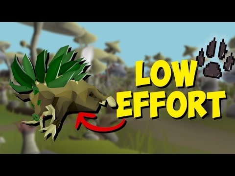 The LOWEST effort way to train Hunter (Herbiboar Quick Guide)