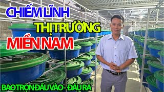 Occupying the Thai Coconut Worm Breeding Market in the South, Including All Inputs and Outputs to...