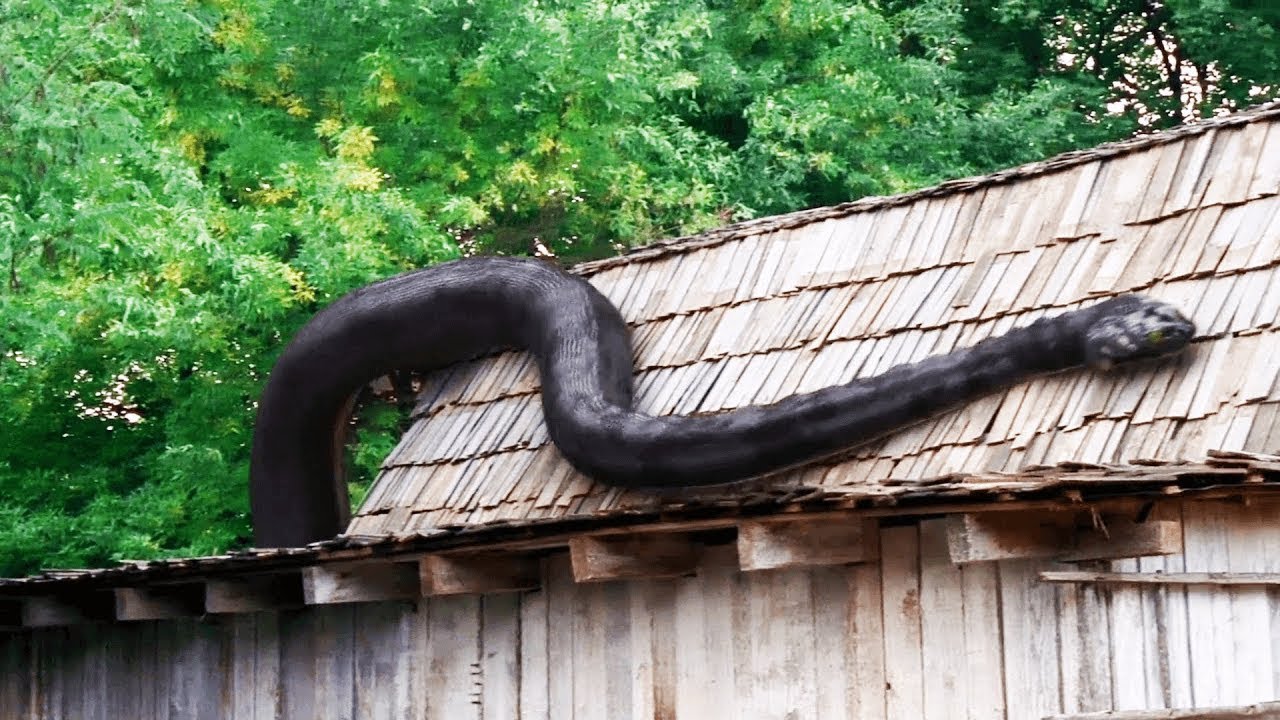 COBRA mutante GIGANTESCA ESCAPA de um laboratório e ataca CAÇADORES para PROTEGER seus OVOS - RECAP