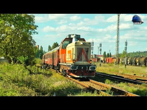 Torpila 82-0446-3 cu Mecanic de Treaba/with Nice Engineer in Oradea Est Triaj - 01 October 2015