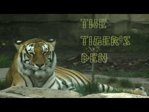 June 10th Power Trading Hour with David White on TFNN   2016