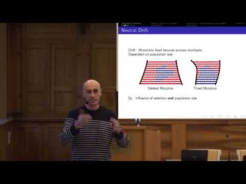 From Populations to Species:Genome Evolution and Its Modelling by Laurent Gueguen at SCAS, 191119