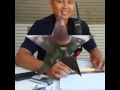 Orang Ganteng N Cantik