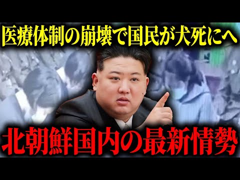 脅威分析会社が北朝鮮エリート層のインターネット行動を研究