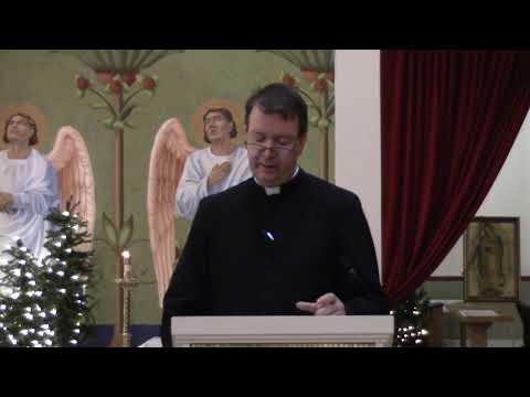A Walk Through the Mass | Week 9: Liturgy of the Word