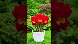 18 de março de 2026