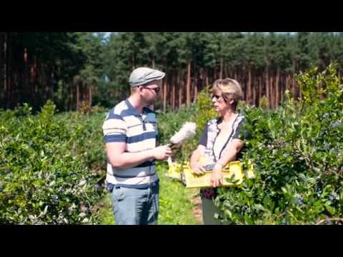 Kulturheidelbeeren | Sommertour 2015: Folge 16, 22.7.2015