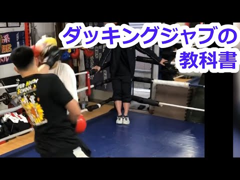 【ボクシング】『ダッキングジャブ』の教科書