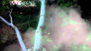 Aaliyah - Beats 4 Da Streets (Video Intro)