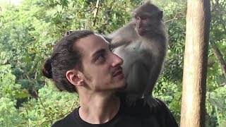 preview picture of video 'He Got Bit By a Monkey! | Ubud, Indonesia'
