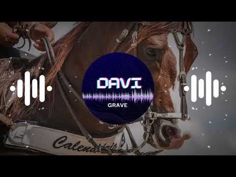 Tarcísio do Acordeon - Sou Vaqueiro e Corro Gado (davi grave