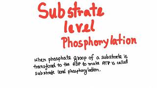 Glycolysis: substrate level phosphorylation