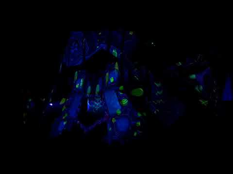 ChromArepo @ Mental Intrusion 4