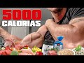 TUDO O QUE ESTOU COMENDO NO BULKING PARA GANHAR MASSA | 5000 CALORIAS