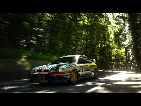 Krzysztof Hołowczyc / Maciej Wisławski (Gran Turismo Sport)