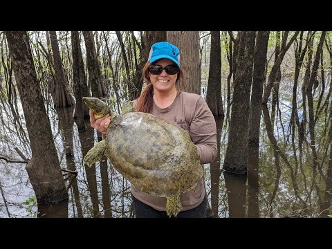 Cooking A Soft Shell Turtle!!! "TURTLE ON A STICK" (Korean BBQ Style) Homemade Recipe (Clean*Cook)