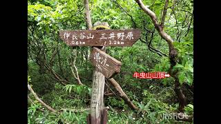 ミヤマヨメナロード💕牛曳山〜伊良谷山〜毛無山　2025.6.15