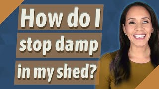 How do I stop damp in my shed?