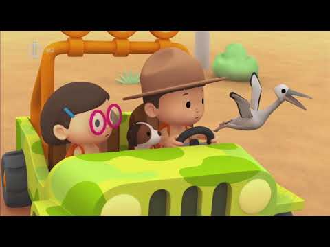 Leo, az ifjú vadőr - Az Ausztrál pelikán