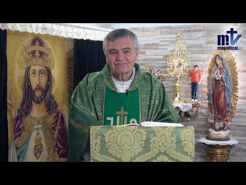 Que Nadie Os Engañe, Hay Vida Eterna | Homilía, Domingo, XXXIII Semana del Tiempo Ordinario (16-11-25) | P. Santiago Martín, FM