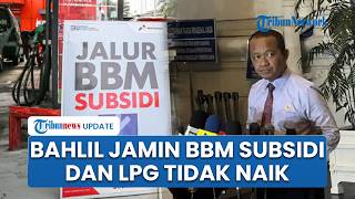 Bahlil Jamin Listrik dan LPG 3 Kg Tak Naik, Bagaimana dengan Nasib Dompet Pengguna Pertamax?
