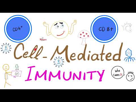Cell-Mediated (Cellular) Immunity [aka T-cell immunity] - Physiology & Immunology