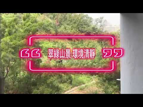 单幢楼房 Youtube Video