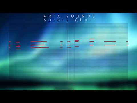 Aurora Choir - Mozart "Dies Irae" Demo