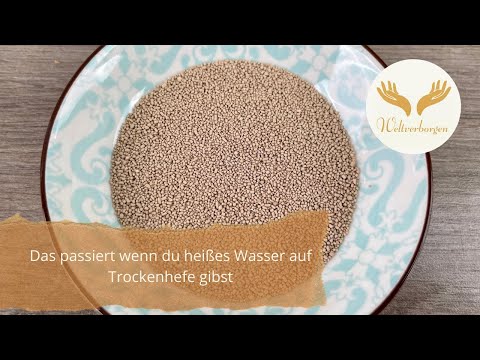 Das passiert wenn du heißes Wasser auf Trockenhefe gibst! Kaltes vs heißes Wasser auf Trockenhefe