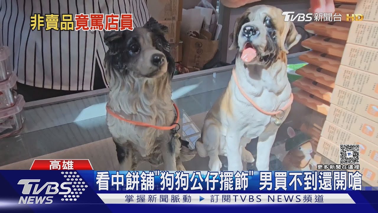 櫥窗狗公仔太萌! 男詢問遭拒氣炸 嗆店員「想打架嗎」