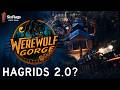 Could Six Flags NEW Coaster Be BETTER Than Hagrid S WEREWOLF GORGE Announcement