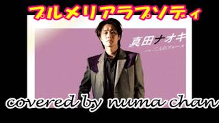 【新曲】「プルメリアラプソディ」原曲キー±0/真田ナオキ2026.4.8発売 covered by numa chan