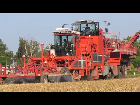 New agricultural technology | Tulip bulbs harvest machine | New agricultural machinery #1