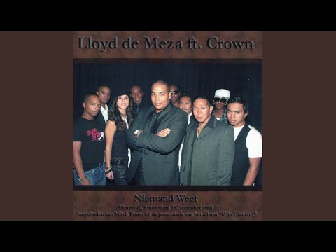 Niemand Weet (feat. Crown) (Radio Edit)