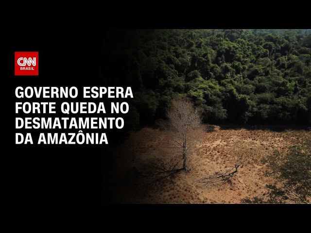 Governo espera forte queda no desmatamento da Amazônia | CNN 360º