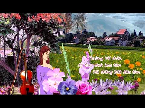 Biết đâu tìm Sheet - Phương Dung