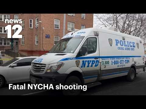 Bronx man shot in head, killed in his apartment at NYCHA building