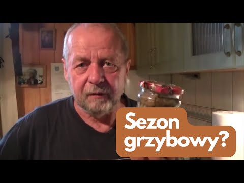 Zbieramy grzyby i przygotowujemy zapasy na zimę