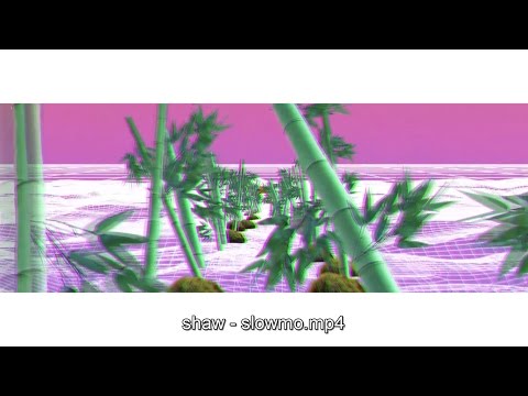shaw - slowmo