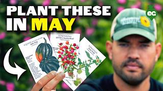 The 12 Best Crops to Plant in May ASAP!