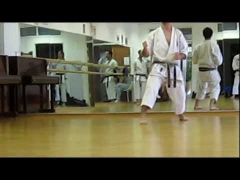 Shotokan karate - kihon techniques for Sandan (3rd Dan) - KSK syllabus