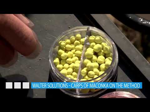 Walter megoldások – Maconkai pontyok nyomában