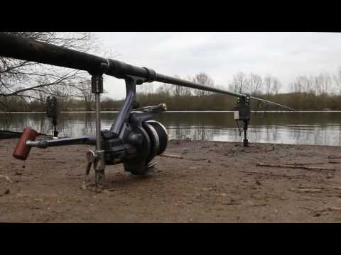 Bite Indication - Elliott Gray - Team Korda